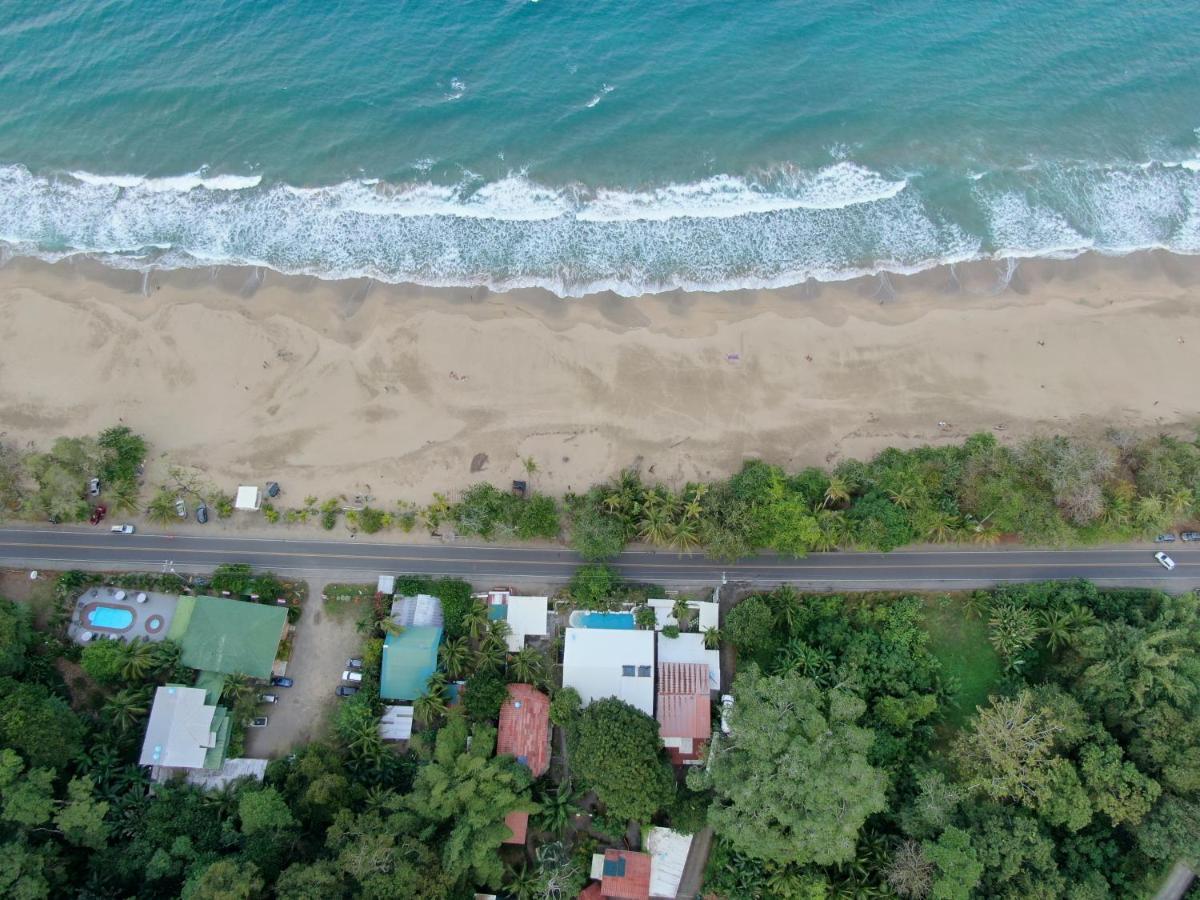 Cariblue Beach And Jungle Resort Puerto Viejo de Talamanca Eksteriør billede