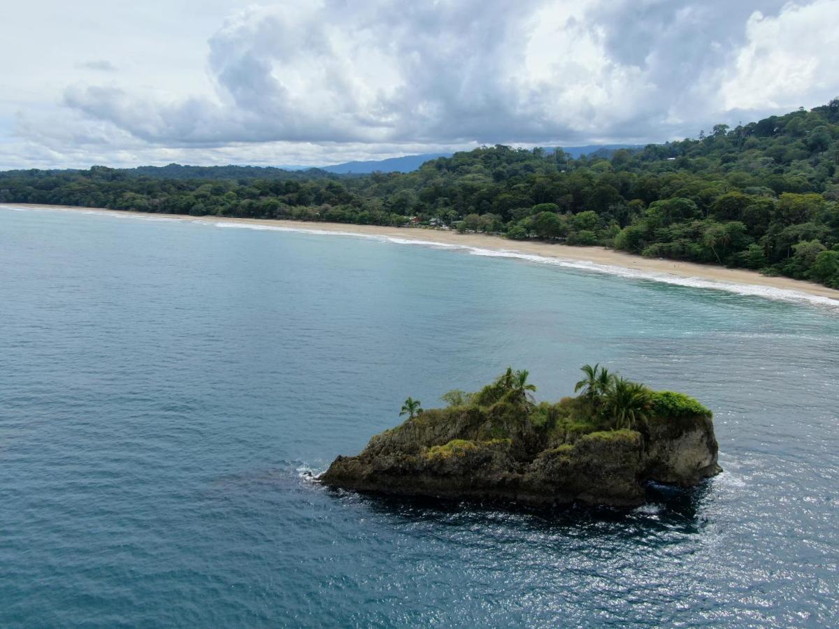 Cariblue Beach And Jungle Resort Puerto Viejo de Talamanca Eksteriør billede