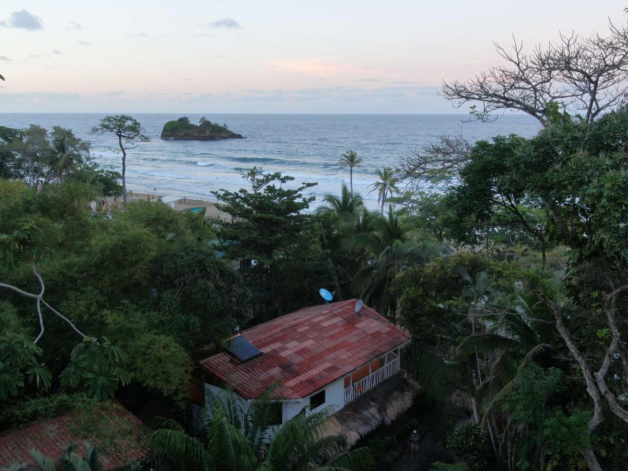 Cariblue Beach And Jungle Resort Puerto Viejo de Talamanca Værelse billede