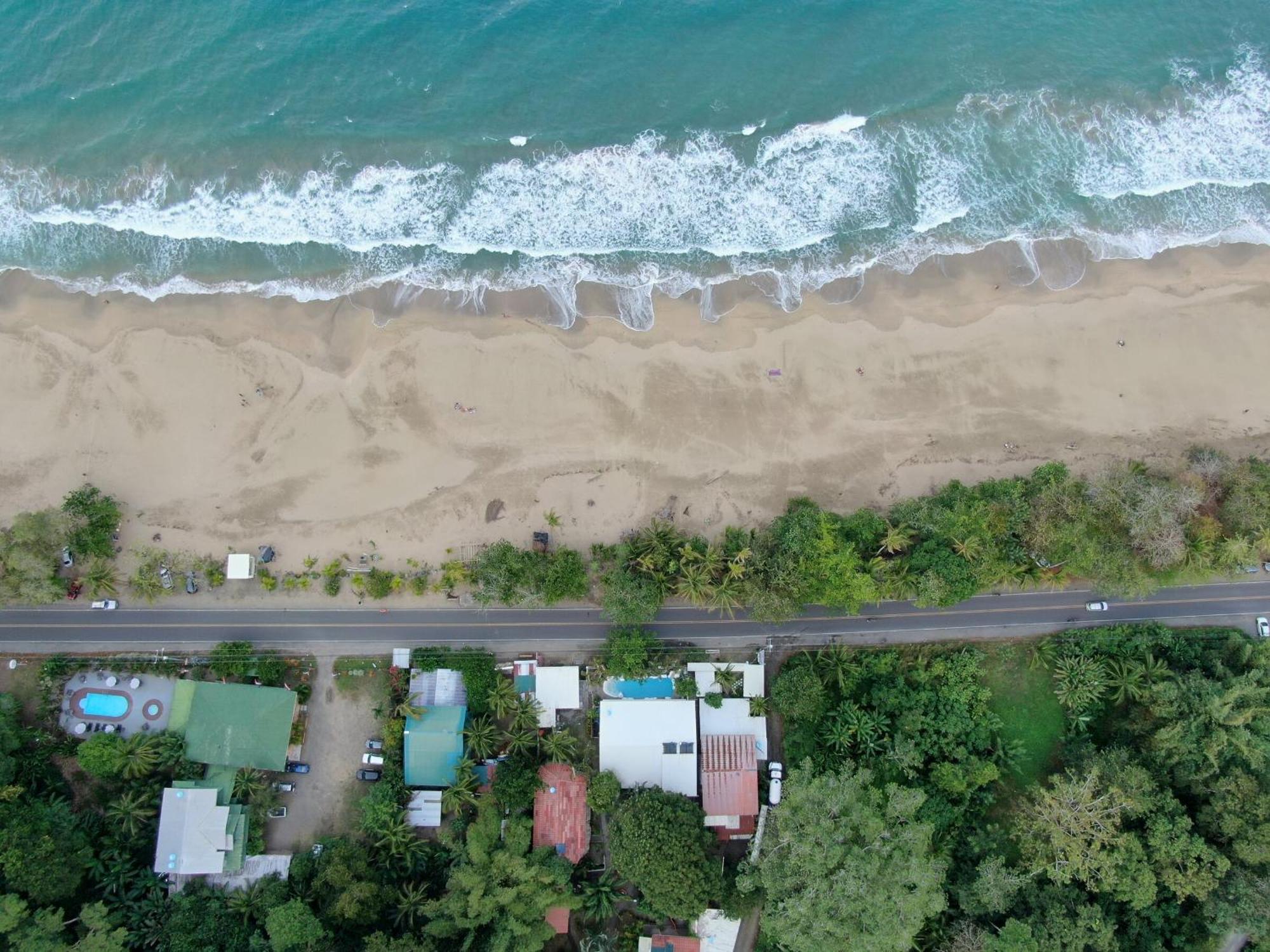 Cariblue Beach And Jungle Resort Puerto Viejo de Talamanca Værelse billede