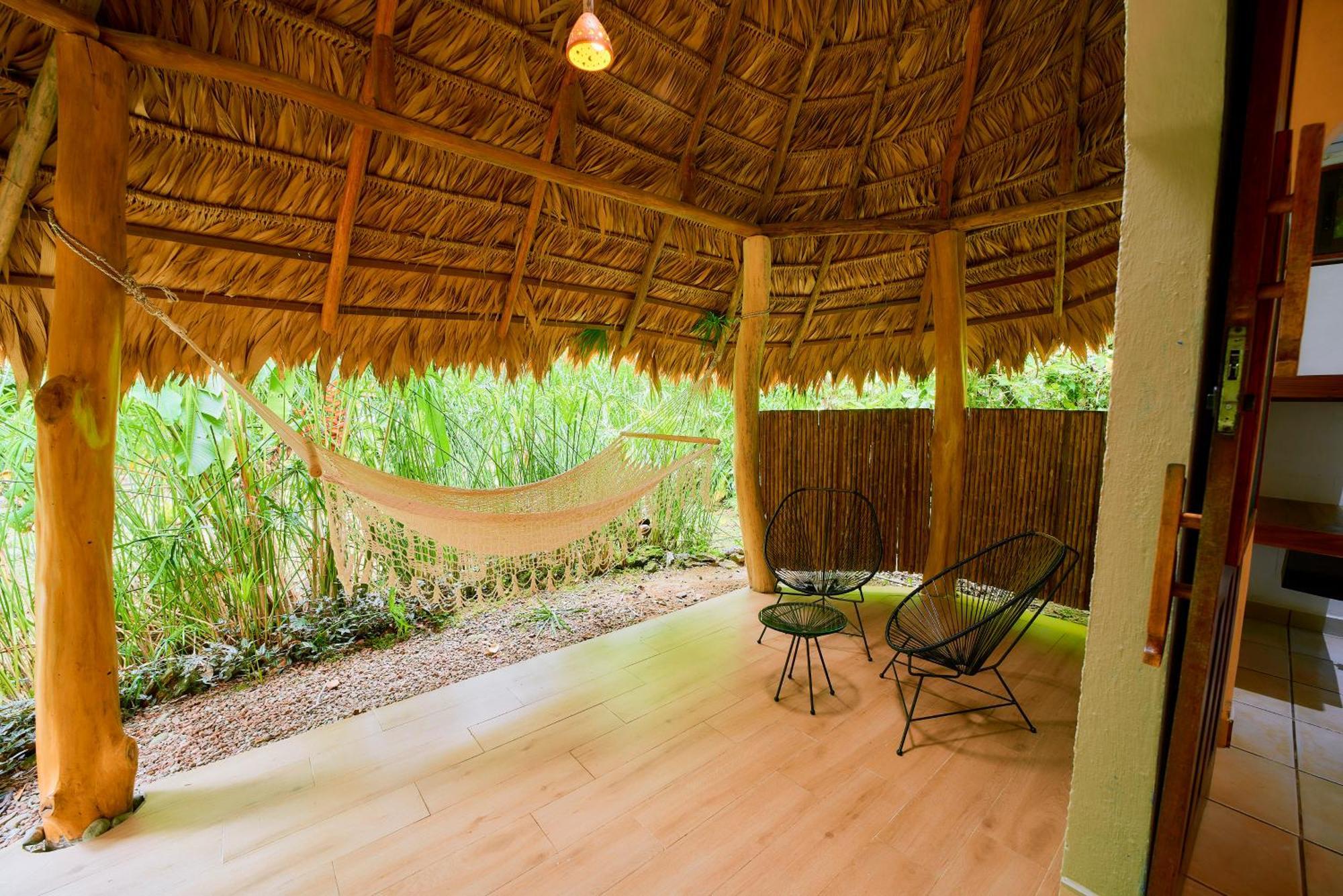 Cariblue Beach And Jungle Resort Puerto Viejo de Talamanca Værelse billede
