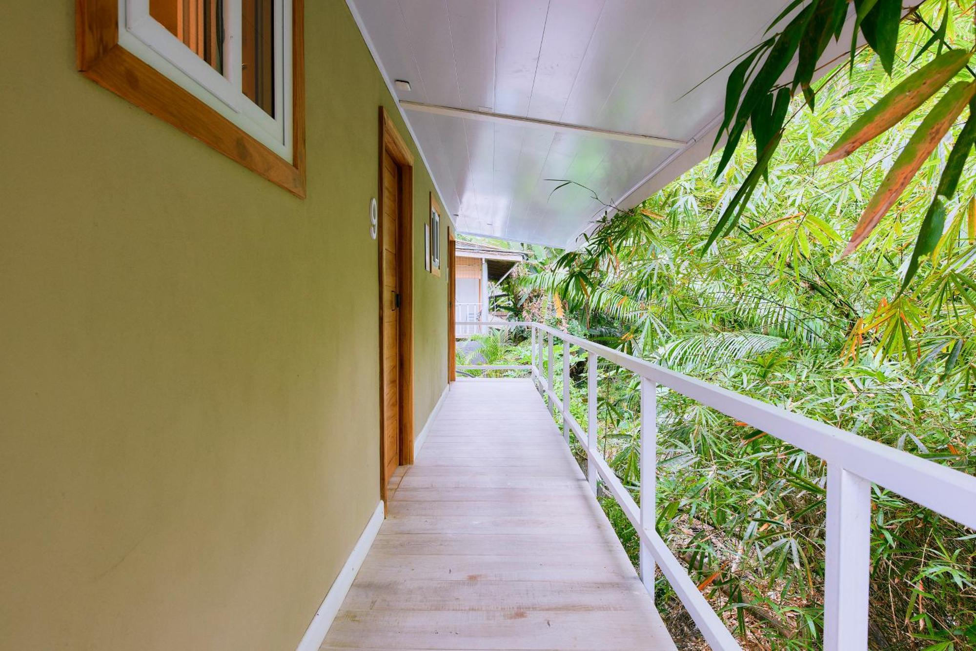Cariblue Beach And Jungle Resort Puerto Viejo de Talamanca Værelse billede