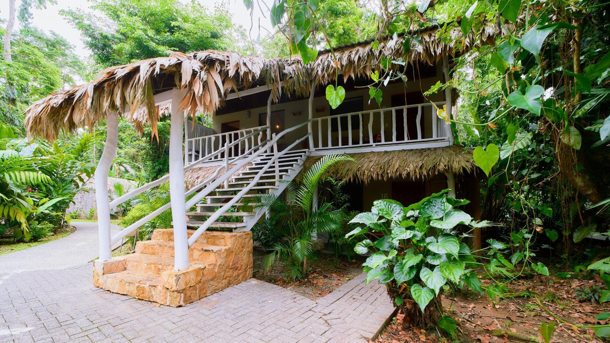 Cariblue Beach And Jungle Resort Puerto Viejo de Talamanca Værelse billede