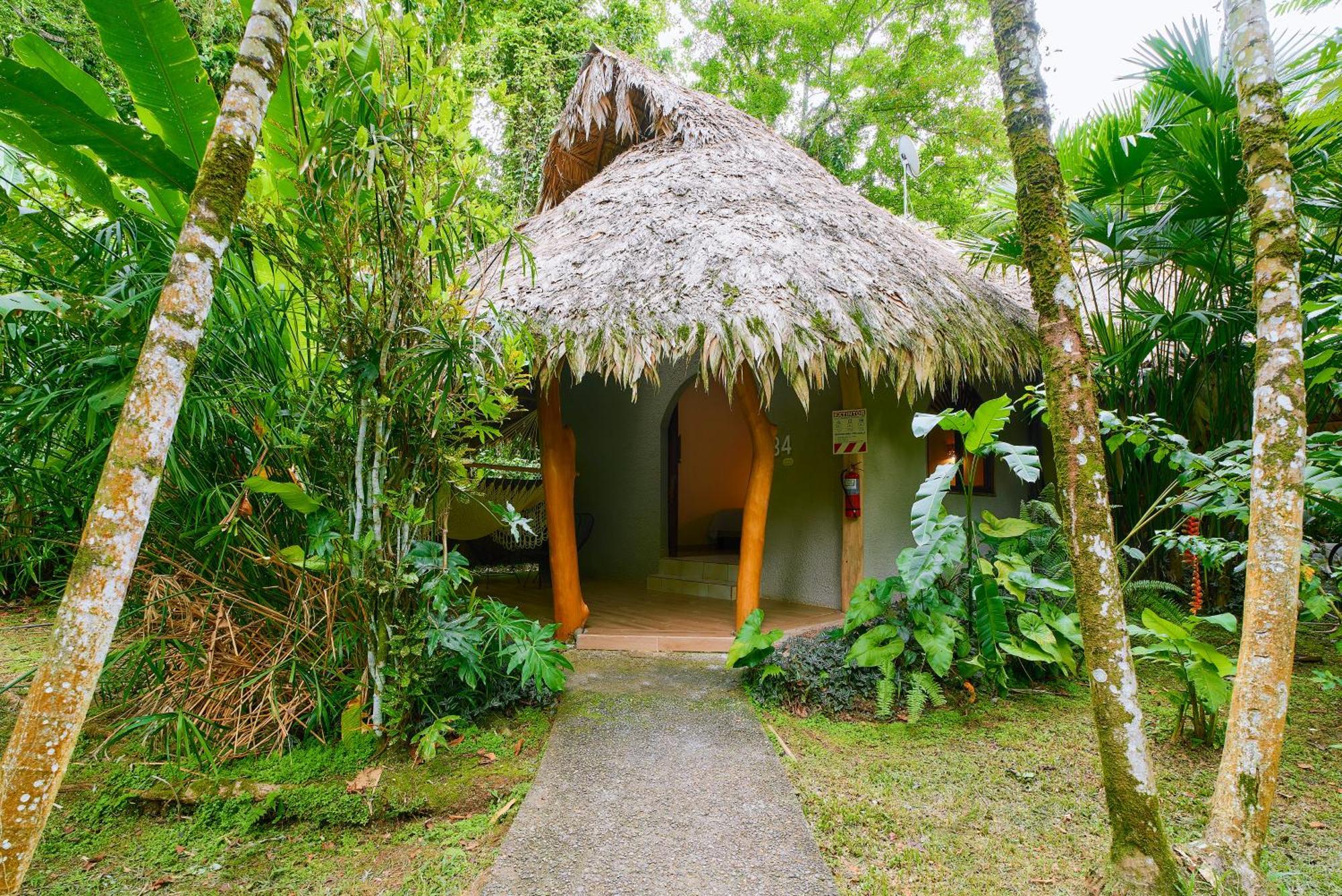 Cariblue Beach And Jungle Resort Puerto Viejo de Talamanca Værelse billede