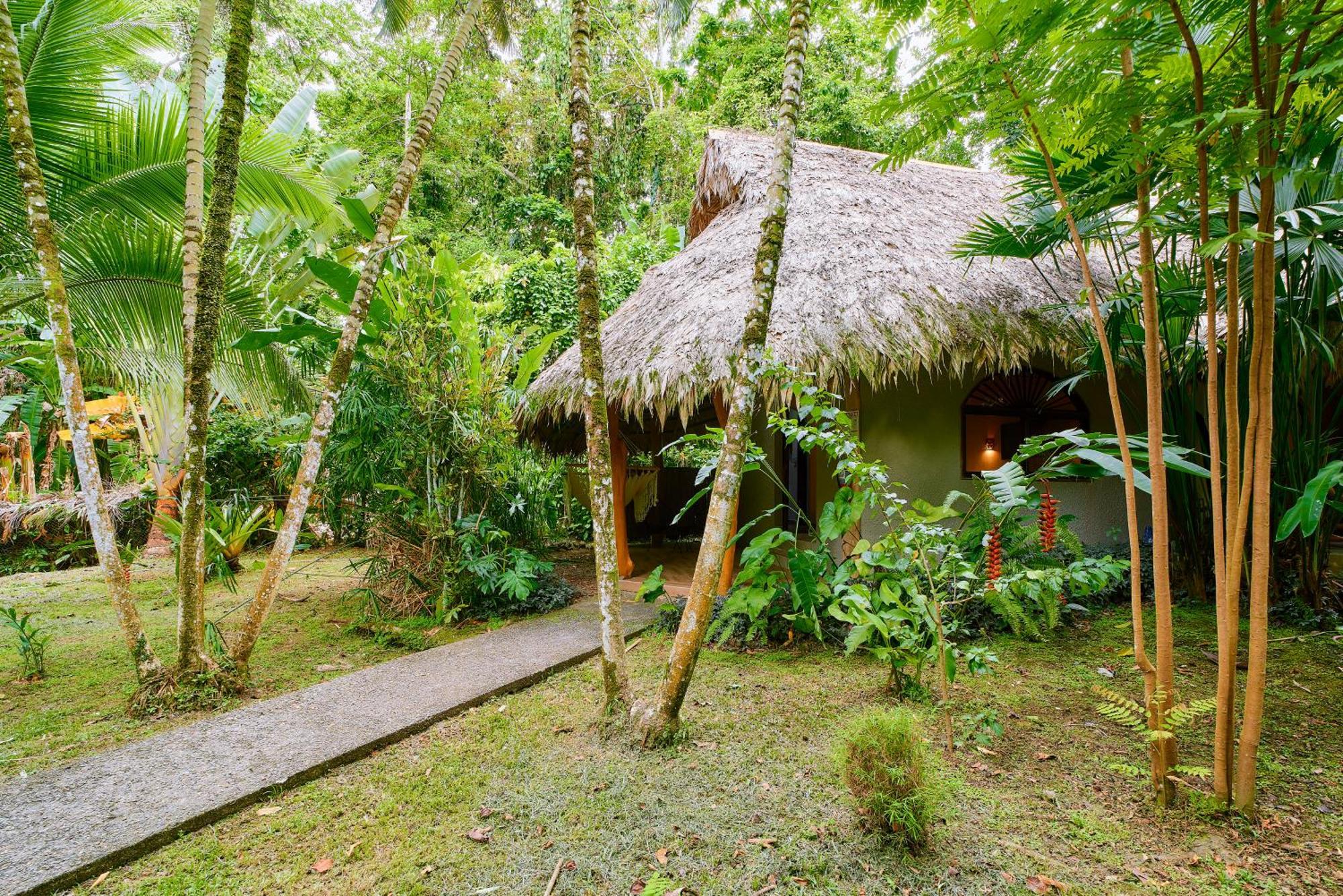 Cariblue Beach And Jungle Resort Puerto Viejo de Talamanca Værelse billede