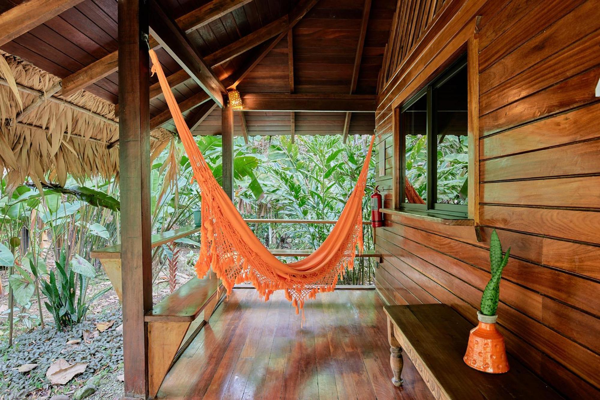 Cariblue Beach And Jungle Resort Puerto Viejo de Talamanca Værelse billede