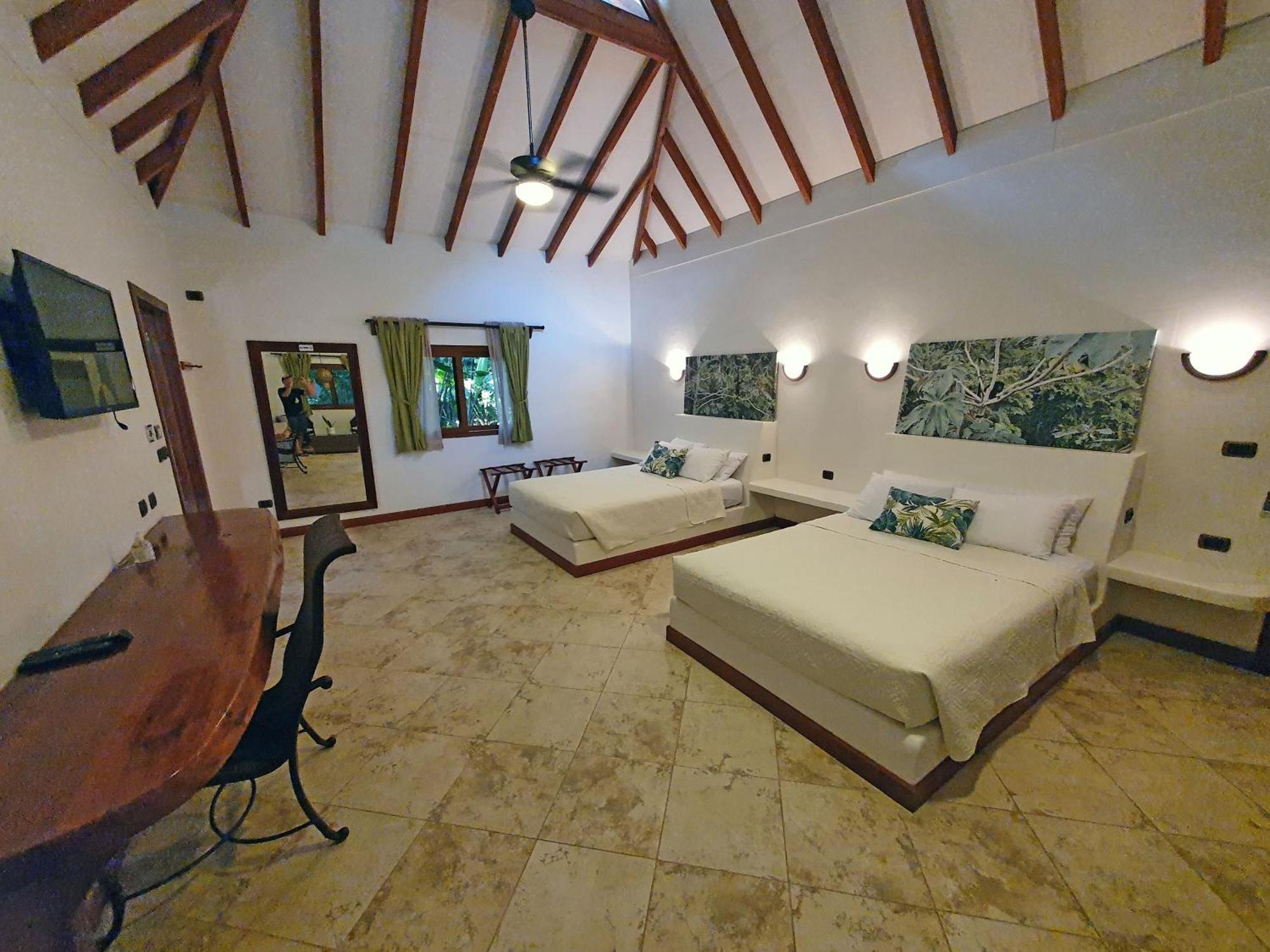 Cariblue Beach And Jungle Resort Puerto Viejo de Talamanca Værelse billede