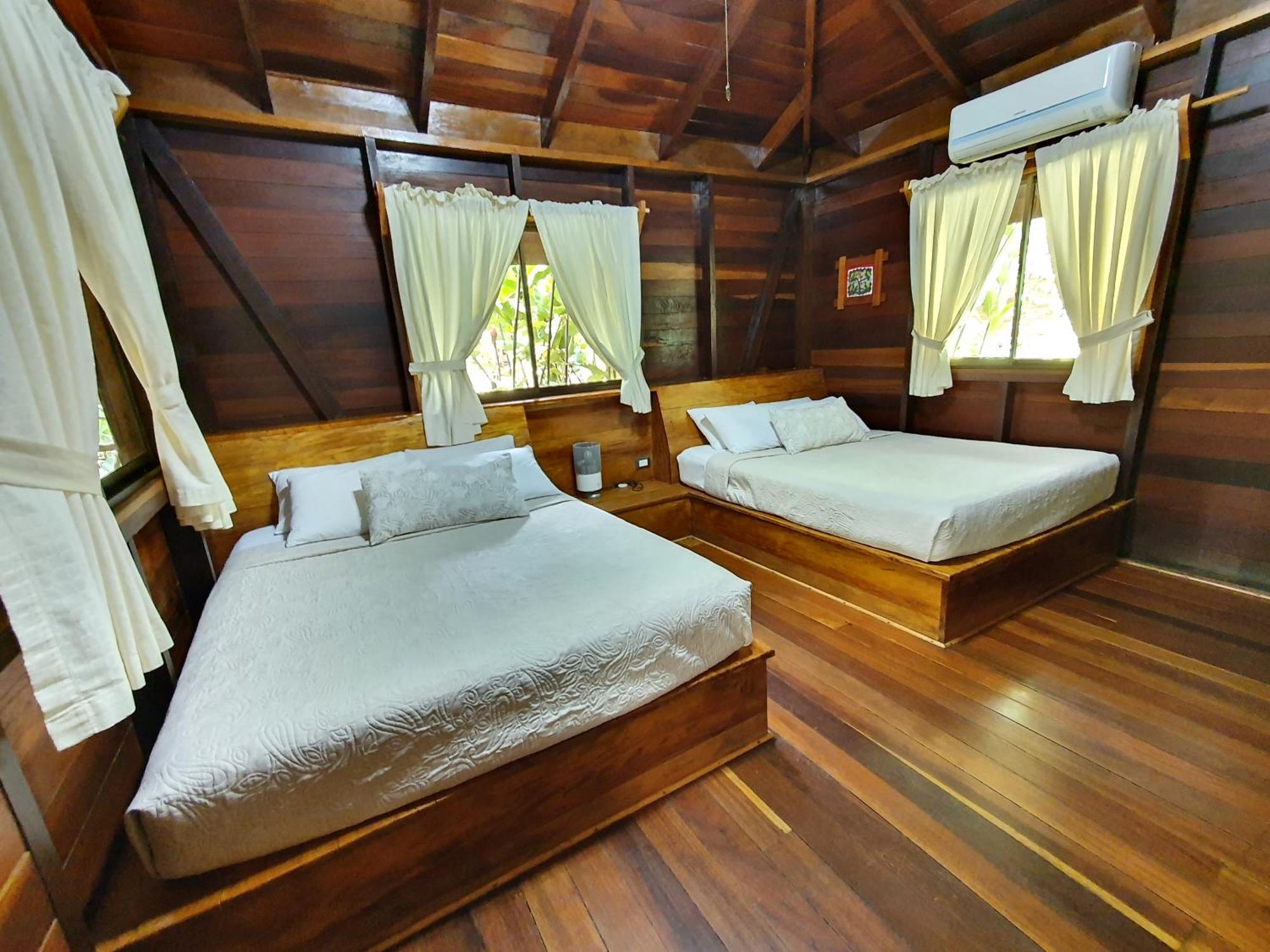 Cariblue Beach And Jungle Resort Puerto Viejo de Talamanca Værelse billede