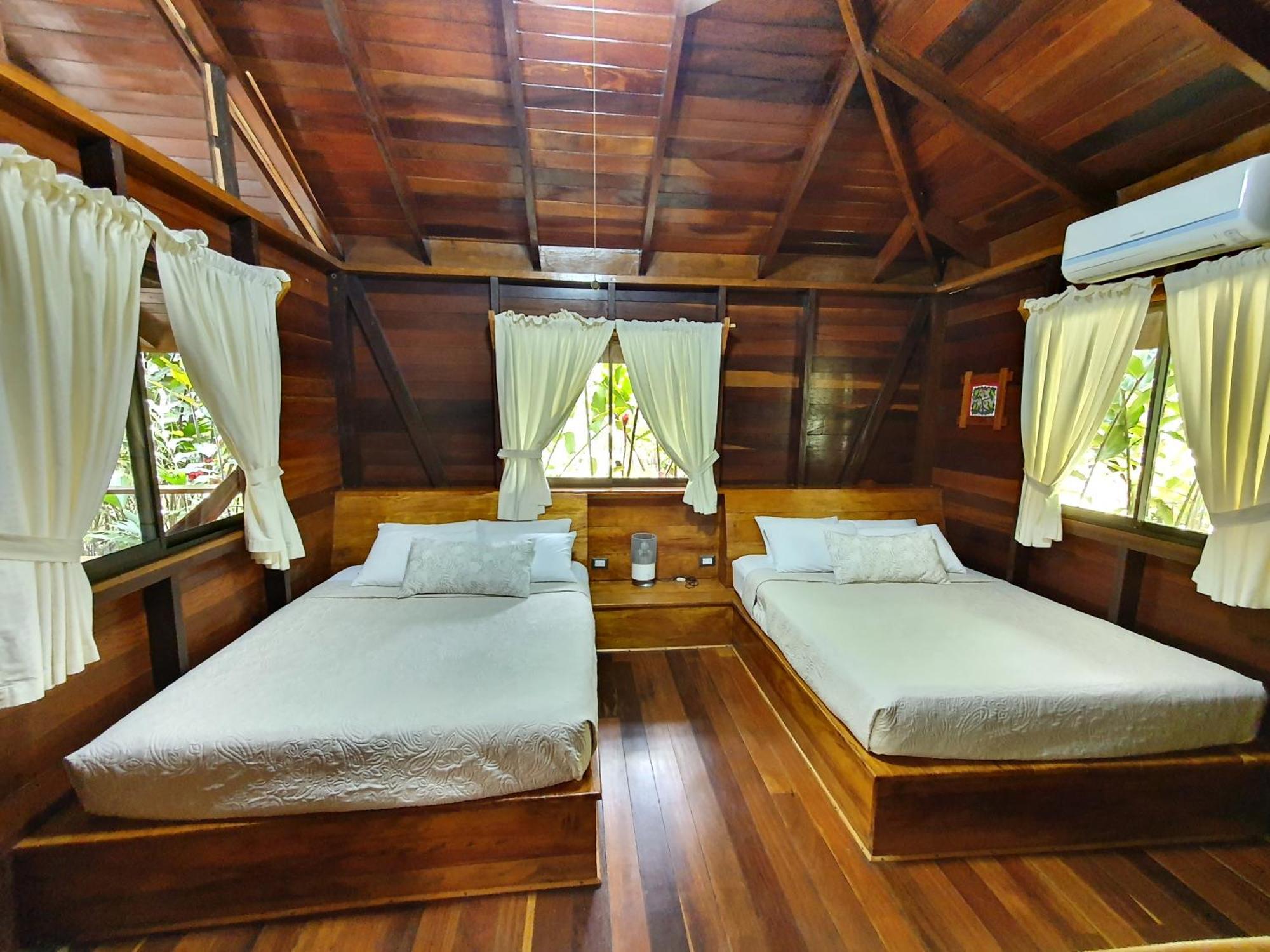 Cariblue Beach And Jungle Resort Puerto Viejo de Talamanca Værelse billede