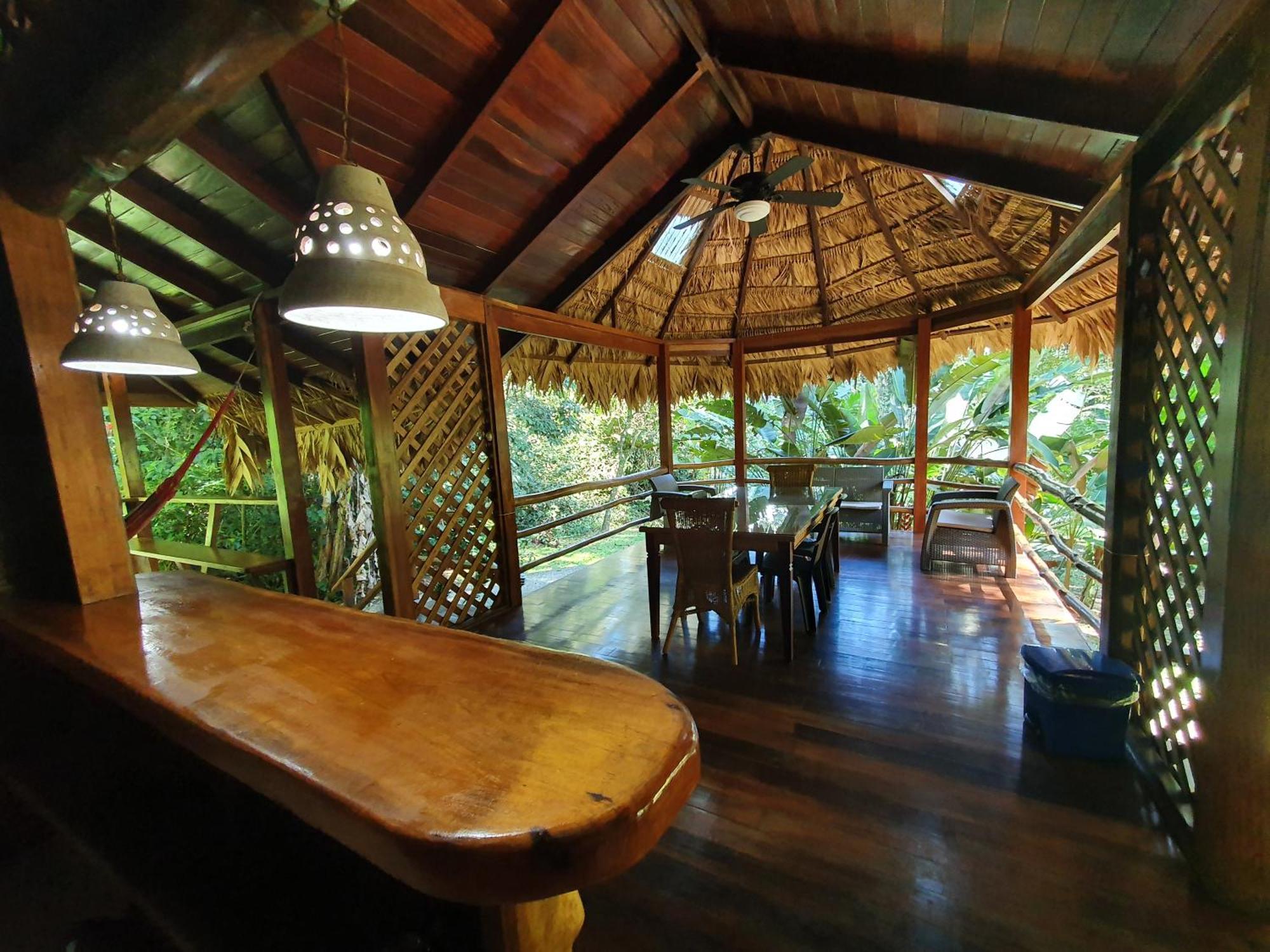 Cariblue Beach And Jungle Resort Puerto Viejo de Talamanca Værelse billede