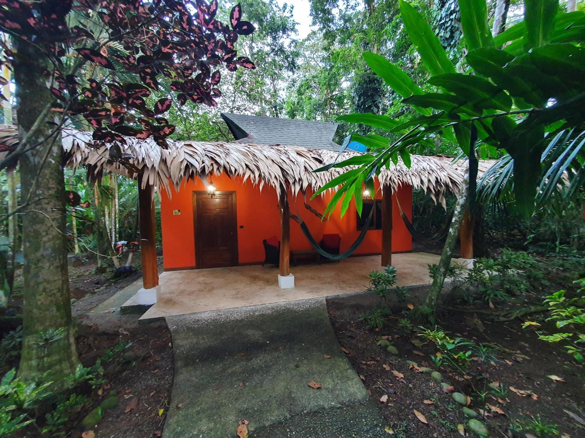 Cariblue Beach And Jungle Resort Puerto Viejo de Talamanca Værelse billede